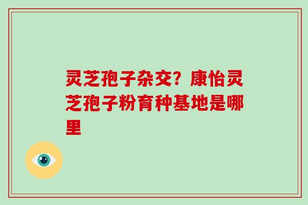 灵芝孢子杂交?康怡灵芝孢子粉育种基地是哪里