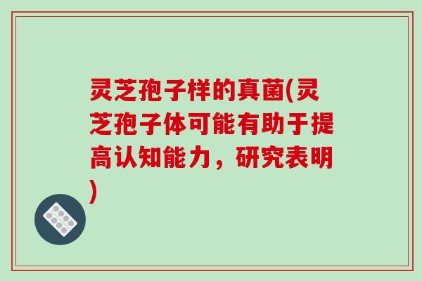 灵芝孢子样的真菌(灵芝孢子体可能有助于提高认知能力，研究表明)