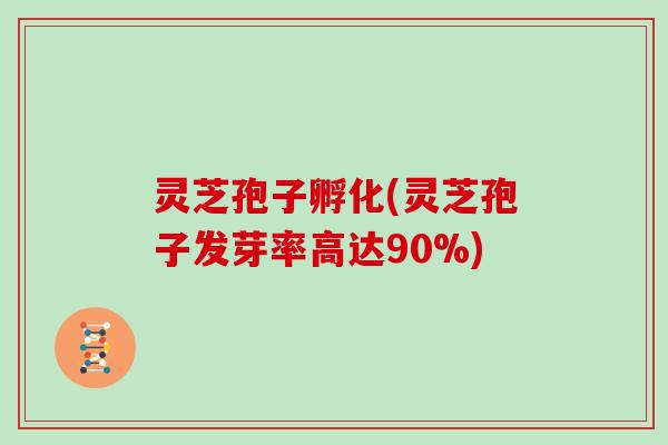 灵芝孢子孵化(灵芝孢子发芽率高达90%)
