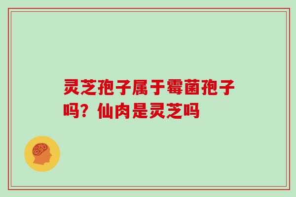 灵芝孢子属于霉菌孢子吗?仙肉是灵芝吗