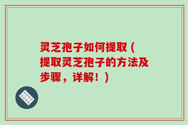 灵芝孢子如何提取 (提取灵芝孢子的方法及步骤，详解！)