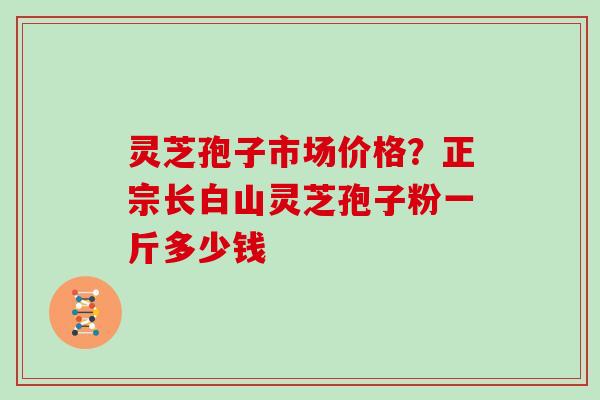 灵芝孢子市场价格？正宗长白山灵芝孢子粉一斤多少钱