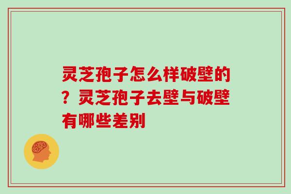 灵芝孢子怎么样破壁的?灵芝孢子去壁与破壁有哪些差别
