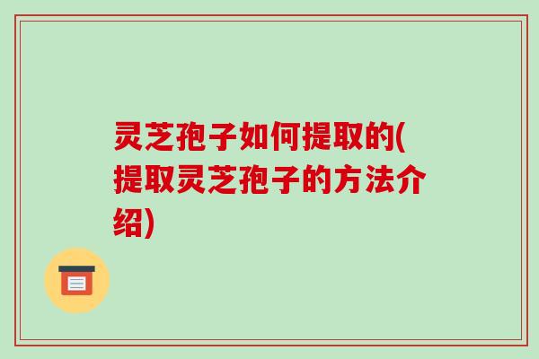 灵芝孢子如何提取的(提取灵芝孢子的方法介绍)