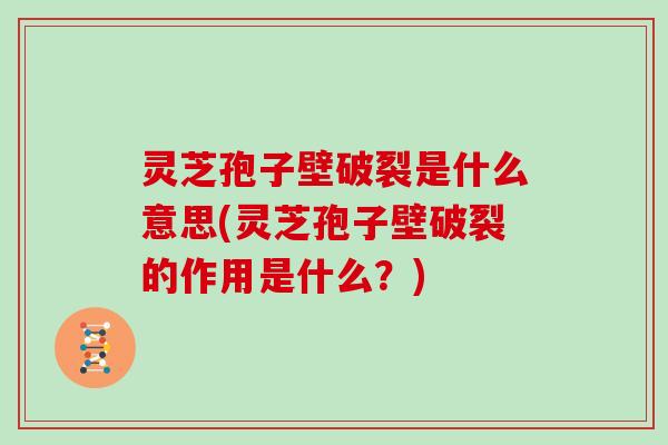 灵芝孢子壁破裂是什么意思(灵芝孢子壁破裂的作用是什么？)