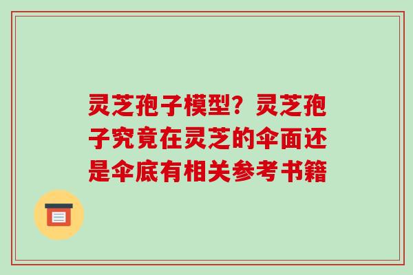 灵芝孢子模型？灵芝孢子究竟在灵芝的伞面还是伞底有相关参考书籍