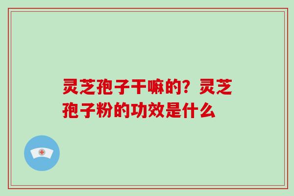 灵芝孢子干嘛的?灵芝孢子粉的功效是什么