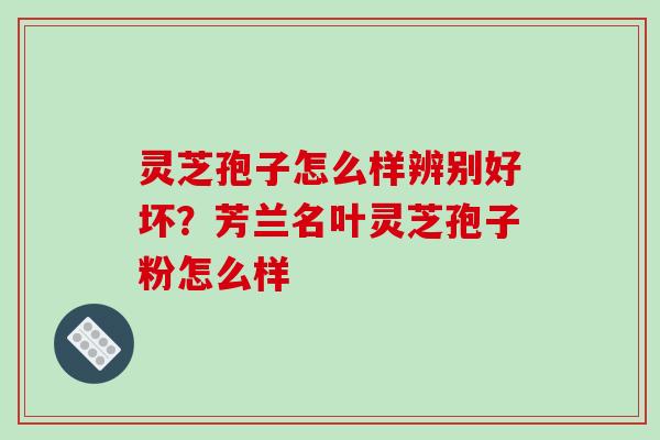 灵芝孢子怎么样辨别好坏?芳兰名叶灵芝孢子粉怎么样