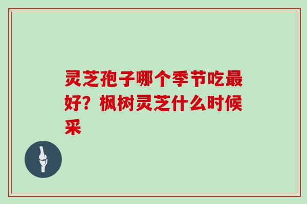 灵芝孢子哪个季节吃最好?枫树灵芝什么时候采