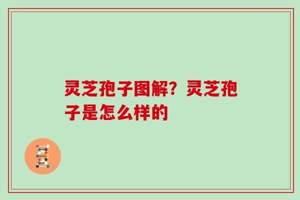 灵芝孢子图解?灵芝孢子是怎么样的