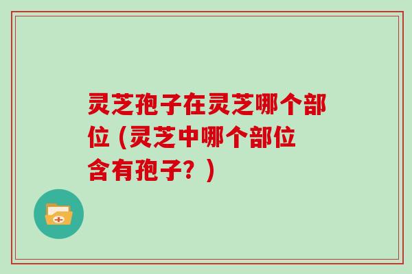 灵芝孢子在灵芝哪个部位 (灵芝中哪个部位含有孢子？)