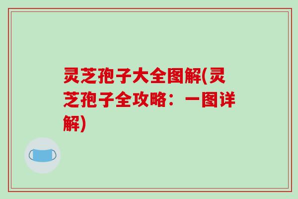 灵芝孢子大全图解(灵芝孢子全攻略：一图详解)