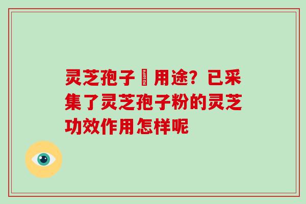 灵芝孢子嘅用途？已采集了灵芝孢子粉的灵芝功效作用怎样呢