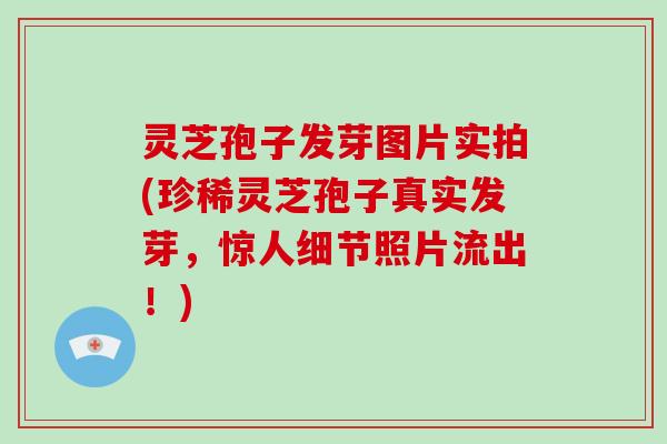 灵芝孢子发芽图片实拍(珍稀灵芝孢子真实发芽，惊人细节照片流出！)