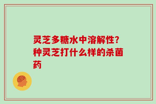 灵芝多糖水中溶解性？种灵芝打什么样的杀菌药