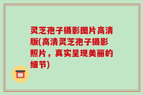 灵芝孢子摄影图片高清版(高清灵芝孢子摄影照片，真实呈现美丽的细节)