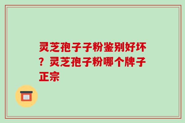 灵芝孢子子粉鉴别好坏?灵芝孢子粉哪个牌子正宗