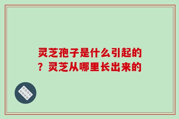 灵芝孢子是什么引起的？灵芝从哪里长出来的