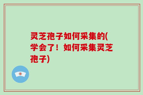 灵芝孢子如何采集的(学会了！如何采集灵芝孢子)