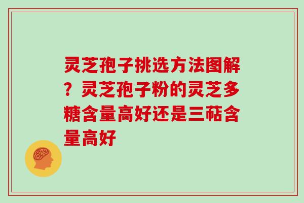 灵芝孢子挑选方法图解?灵芝孢子粉的灵芝多糖含量高好还是三萜含量高好