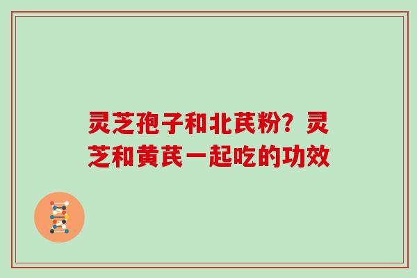 灵芝孢子和北芪粉?灵芝和黄芪一起吃的功效
