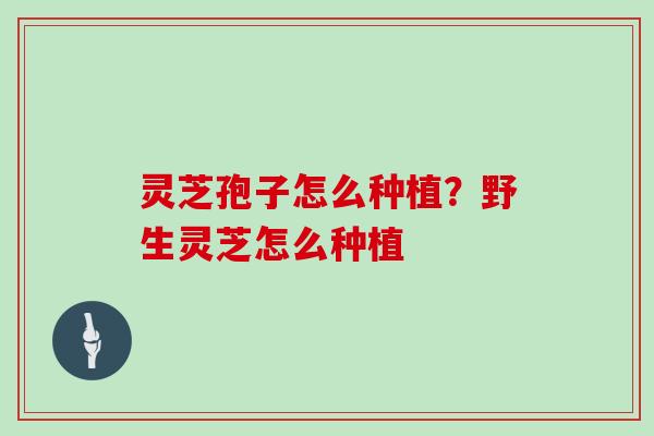 灵芝孢子怎么种植?野生灵芝怎么种植