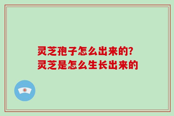 灵芝孢子怎么出来的?灵芝是怎么生长出来的