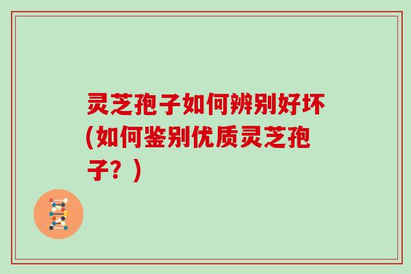 灵芝孢子如何辨别好坏(如何鉴别优质灵芝孢子?)