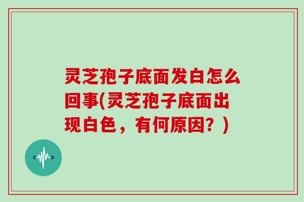 灵芝孢子底面发白怎么回事(灵芝孢子底面出现白色，有何原因？)