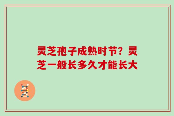 灵芝孢子成熟时节?灵芝一般长多久才能长大