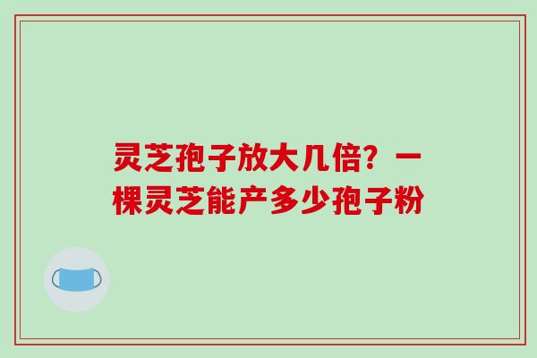 灵芝孢子放大几倍?一棵灵芝能产多少孢子粉