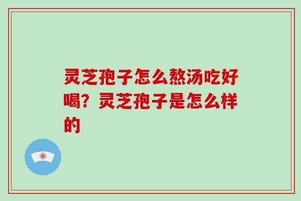 灵芝孢子怎么熬汤吃好喝?灵芝孢子是怎么样的