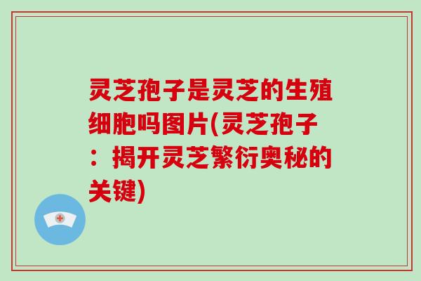 灵芝孢子是灵芝的生殖细胞吗图片(灵芝孢子：揭开灵芝繁衍奥秘的关键)