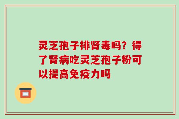 灵芝孢子排肾毒吗?得了肾病吃灵芝孢子粉可以提高免疫力吗