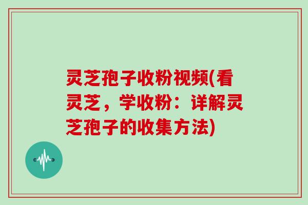 灵芝孢子收粉视频(看灵芝,学收粉:详解灵芝孢子的收集方法)