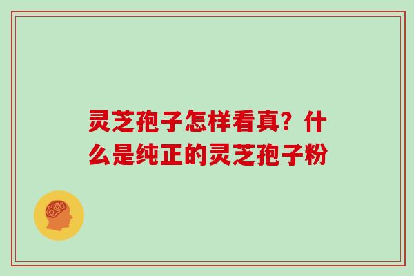 灵芝孢子怎样看真?什么是纯正的灵芝孢子粉