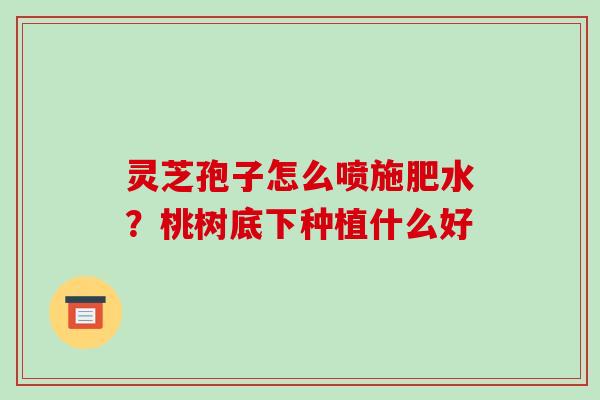 灵芝孢子怎么喷施肥水？桃树底下种植什么好