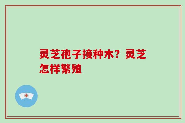 灵芝孢子接种木?灵芝怎样繁殖