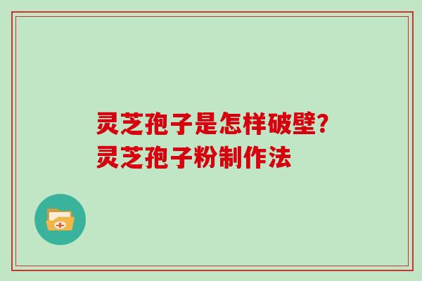 灵芝孢子是怎样破壁?灵芝孢子粉制作法
