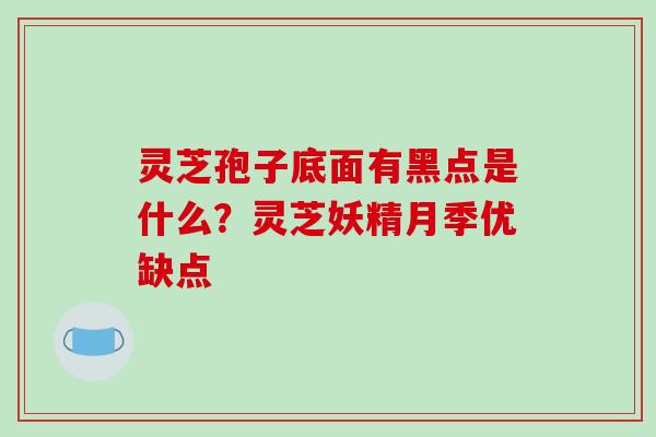 灵芝孢子底面有黑点是什么?灵芝妖精月季优缺点