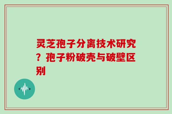 灵芝孢子分离技术研究？孢子粉破壳与破壁区别