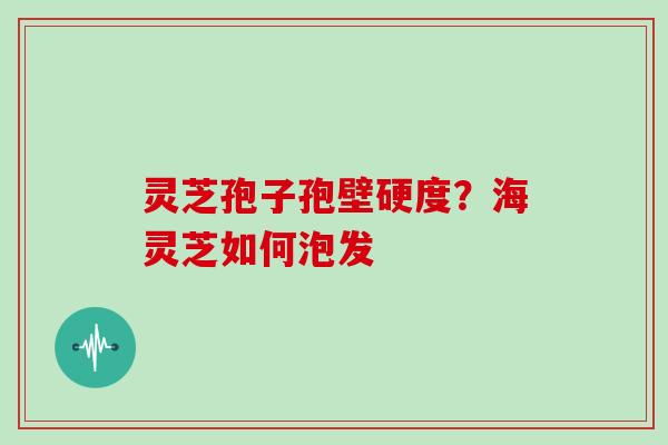 灵芝孢子孢壁硬度?海灵芝如何泡发