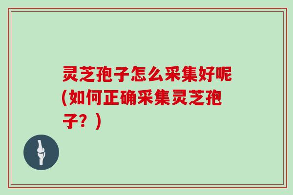 灵芝孢子怎么采集好呢(如何正确采集灵芝孢子?)