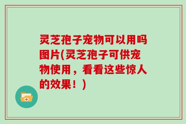 灵芝孢子宠物可以用吗图片(灵芝孢子可供宠物使用，看看这些惊人的效果！)