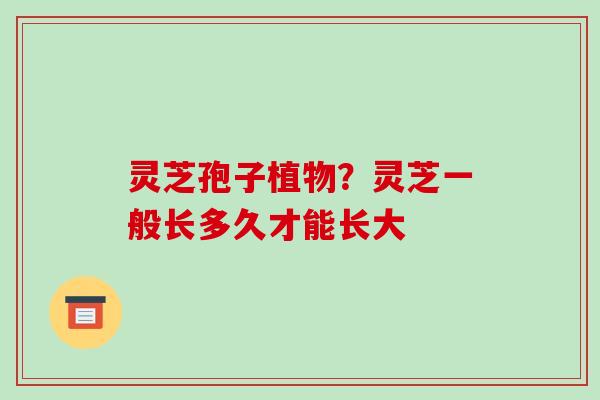 灵芝孢子植物?灵芝一般长多久才能长大