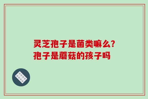 灵芝孢子是菌类嘛么?孢子是蘑菇的孩子吗