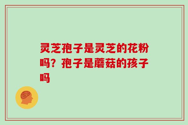 灵芝孢子是灵芝的花粉吗？孢子是蘑菇的孩子吗