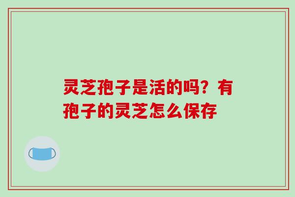 灵芝孢子是活的吗?有孢子的灵芝怎么保存
