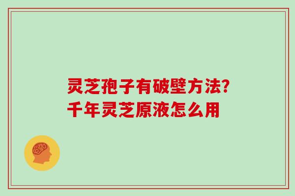 灵芝孢子有破壁方法?千年灵芝原液怎么用