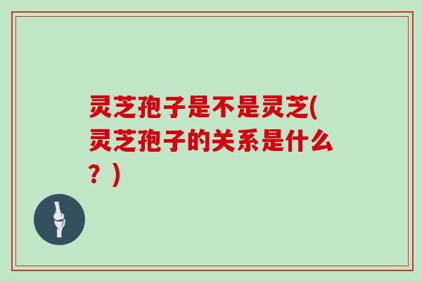 灵芝孢子是不是灵芝(灵芝孢子的关系是什么?)